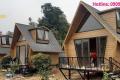 Nhà Bungalow – Lối Sống Nghỉ Dưỡng Hoàn Hảo Giữa Thiên Nhiên